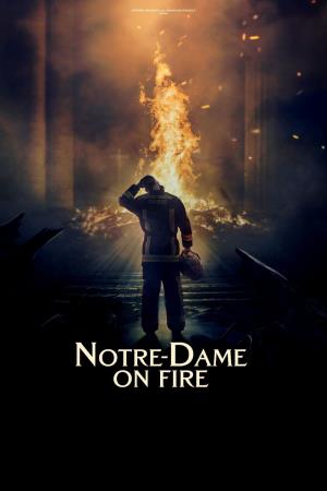 Notre Dame Poster