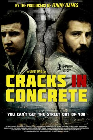 Cracks in Concrete Poster