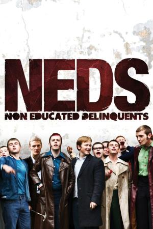 NEDS Poster