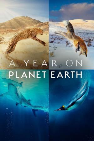 A Year on Planet Earth Poster