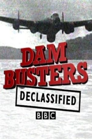 Dam Busters Declassified Poster