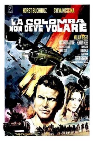 La colomba non deve volare Poster