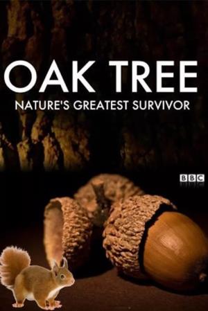 Oak Tree: Nature's Greatest Survivor Poster