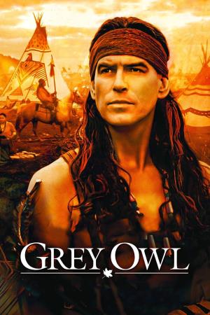 Grey Owl - Gufo grigio Poster