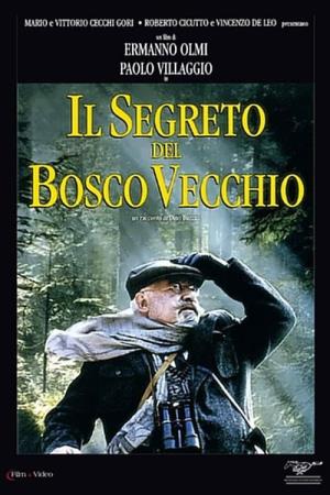 Il segreto del bosco vecchio Poster