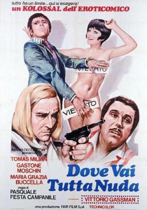 Dove vai tutta nuda? Poster