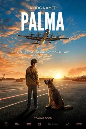 Palma un amore di cane Poster