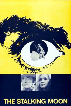 La notte dell'agguato Poster