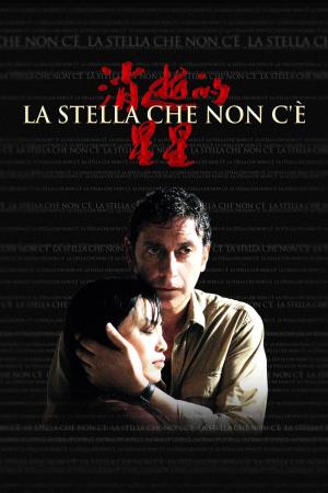 La stella che non c'e' Poster