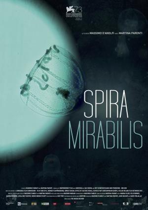 Spira mirabilis Poster