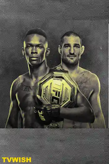 Live: UFC 293 Poster