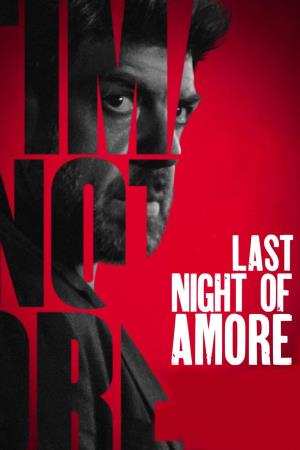 L'ultima notte di Amore Poster