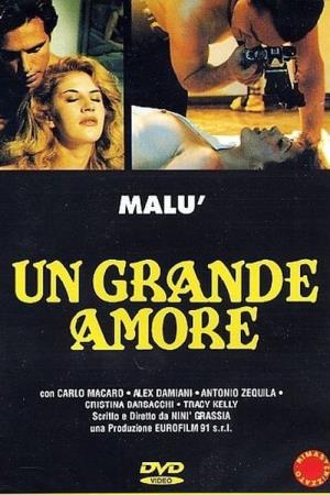 Un grande amore Poster