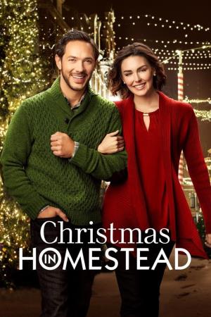 Christmas In Homestead Poster