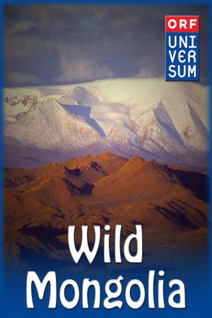 Wild Mongolia Poster