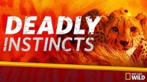Deadly Instincts Poster
