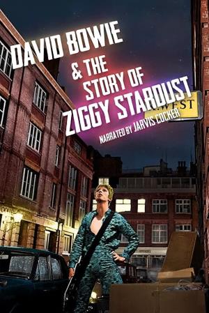 DAVID BOWIE  ZIGGY STARDUST Poster