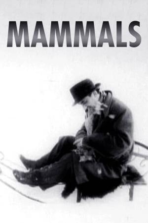 Mammals Poster