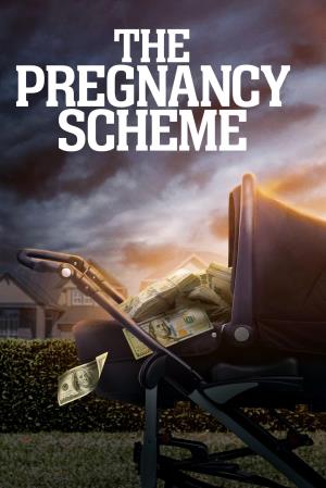 The Pregnancy Scheme Poster