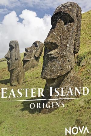 Easter Island Origins Poster