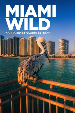 Miami Wild Poster