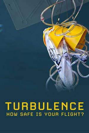 Turbulence: How Safe Is Your Flight? Poster