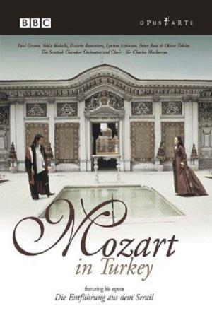 Mozart in Turkey Poster