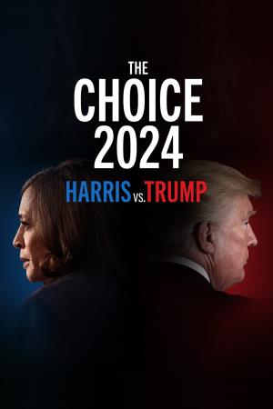 Trump v Harris Poster