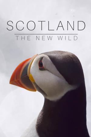 Scotland - The New Wild Poster