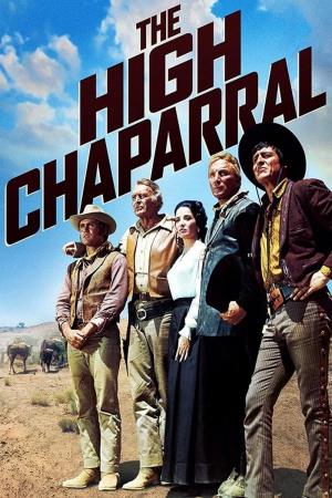 The High Chaparral Poster