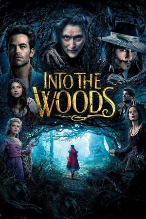 Into the Woods Poster