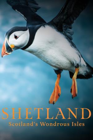 Shetland: Scotland's Wondrous Isles Poster