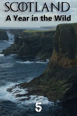 Scotland: A Year in the Wild Poster