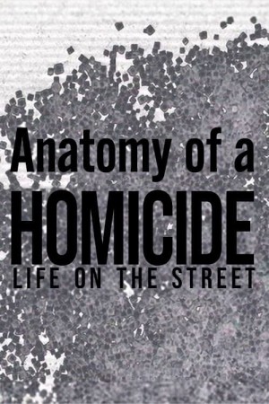 Homicide: Life On The Street Poster