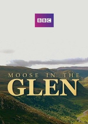 Moose in the Glen Poster