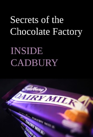 Secrets of the Chocolate Factory Poster