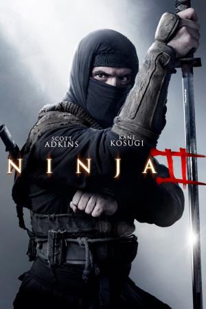 Ninja: Shadow of a Tear Poster