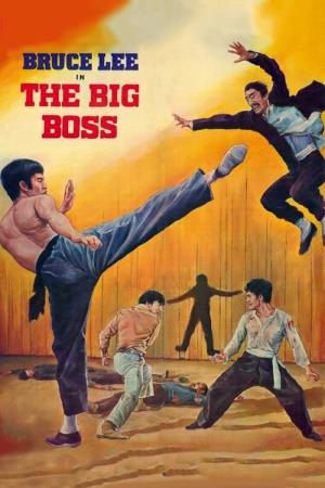 The Big Boss Poster